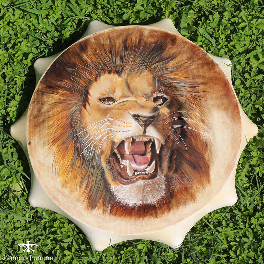 lion shaman drum 3