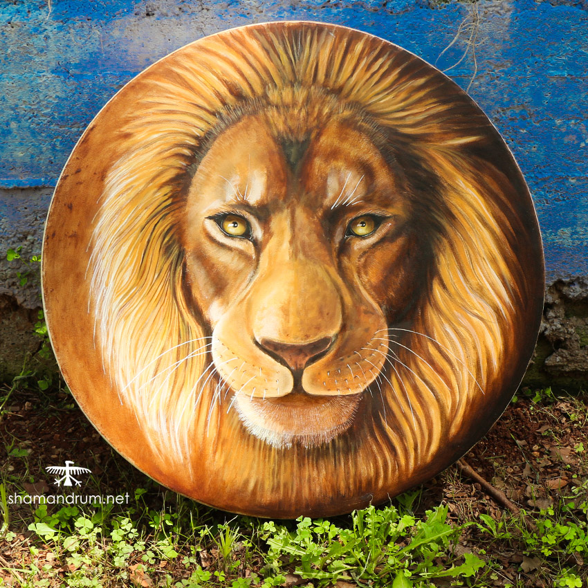 lion shaman drum 4
