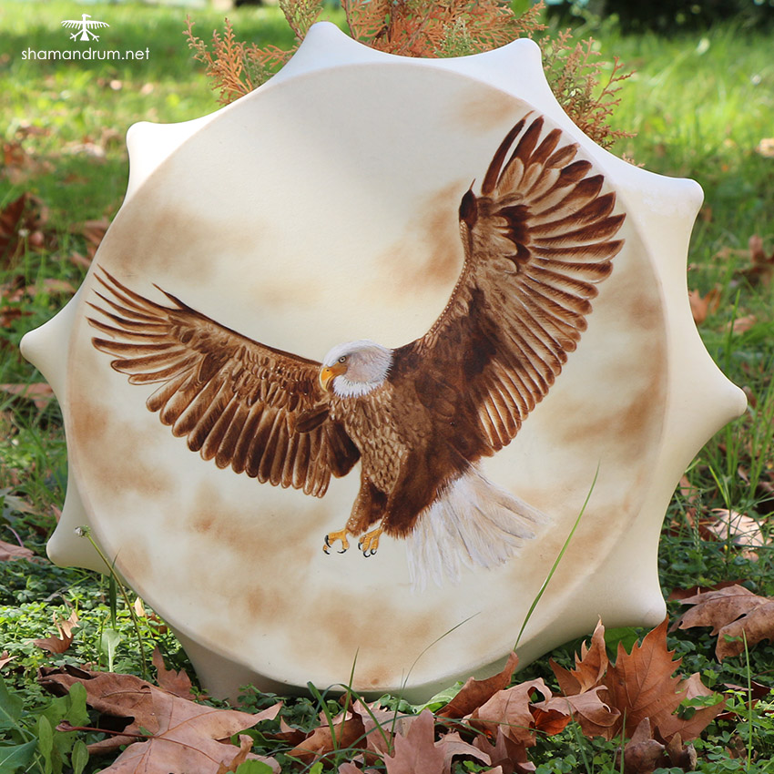 bald eagle shaman drum 2