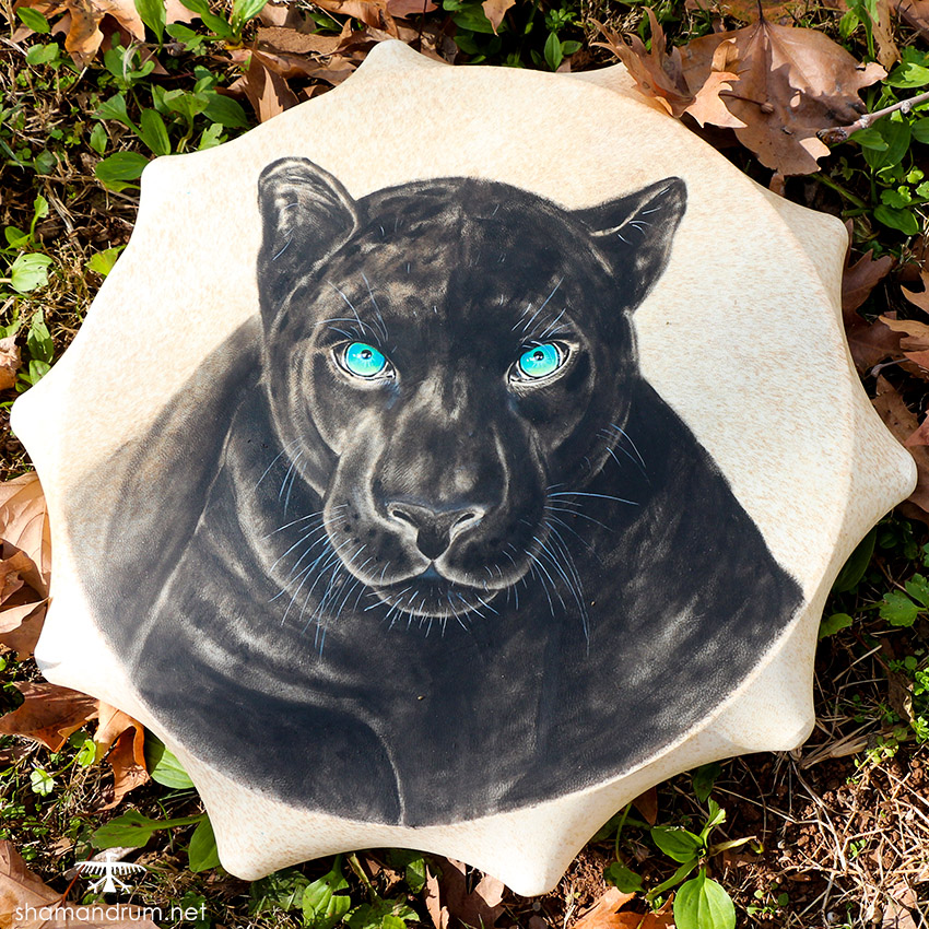 black panther shaman drum 2