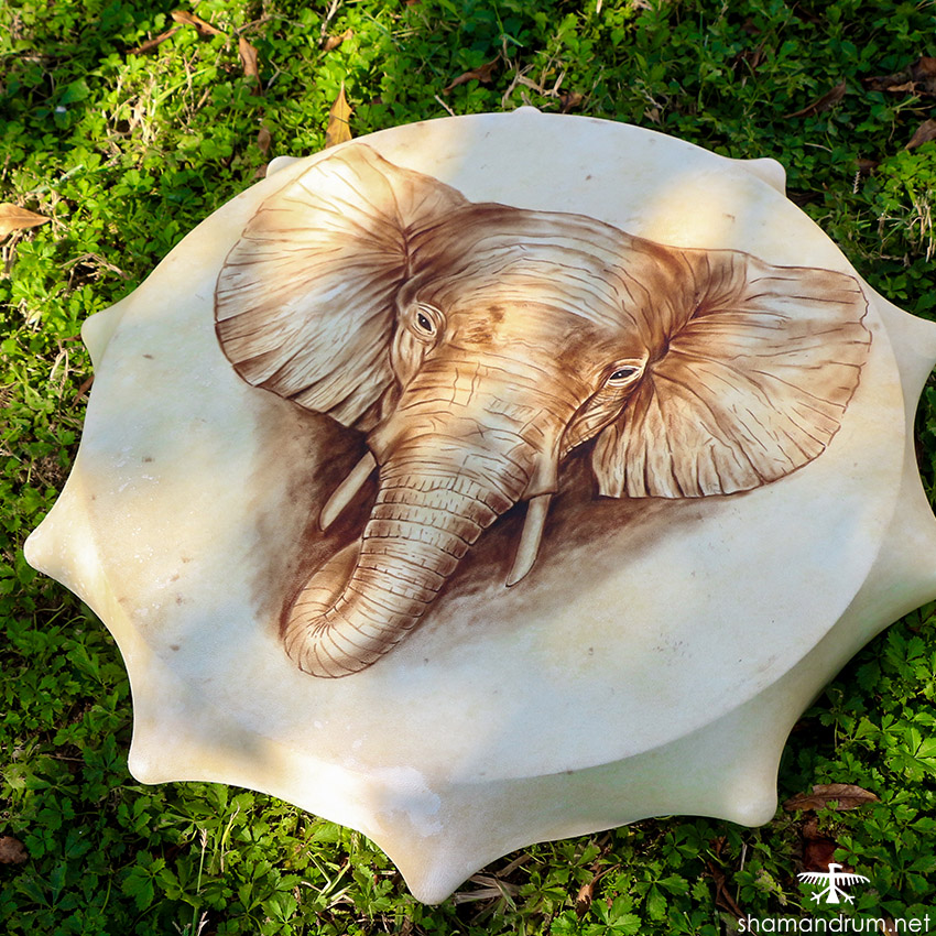 elephant shaman drum 1