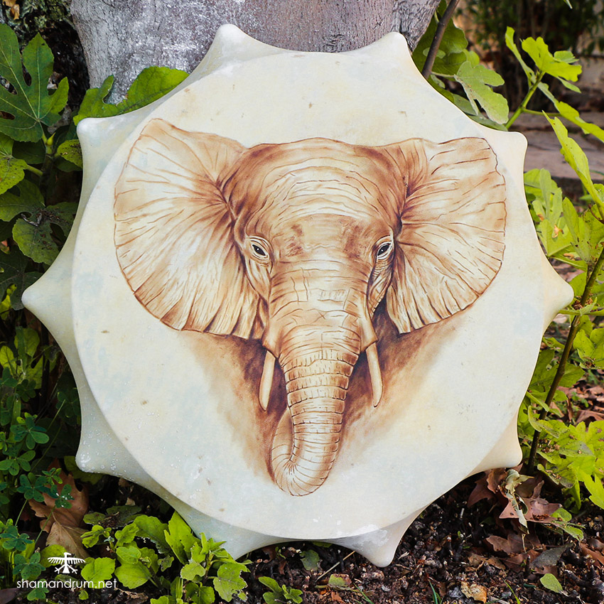 elephant shaman drum 3