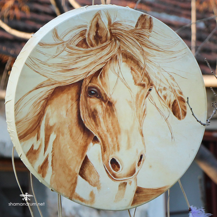 native horse shaman drum 1