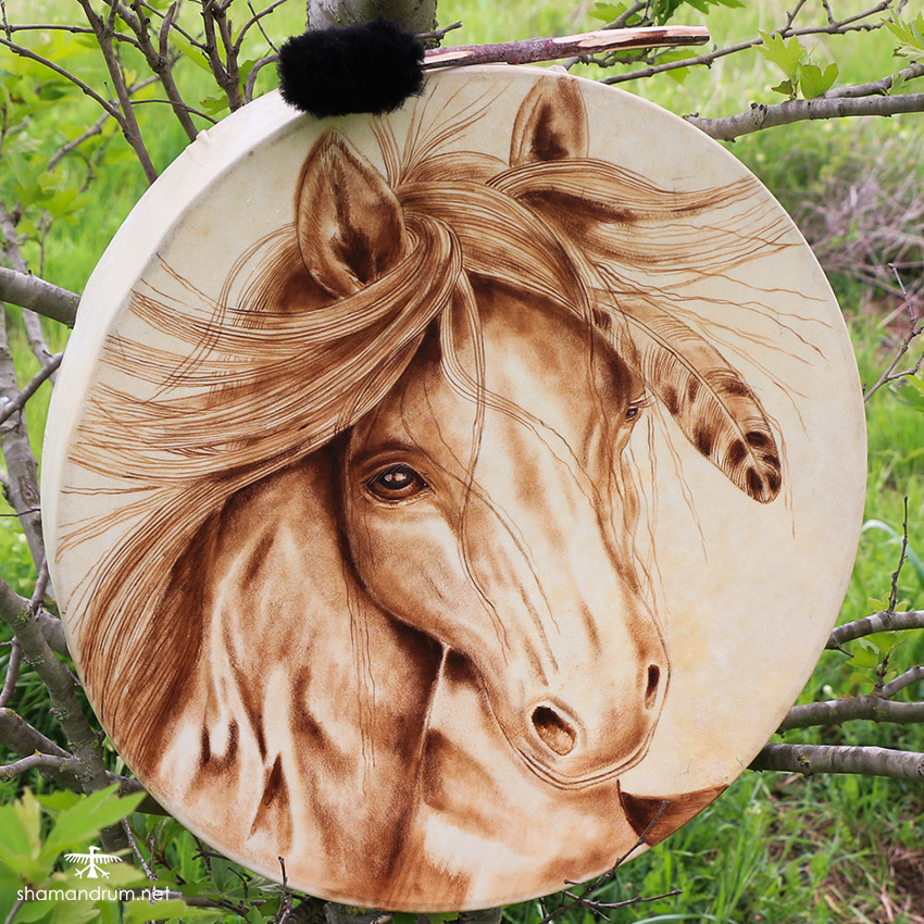 native horse shaman drum 3