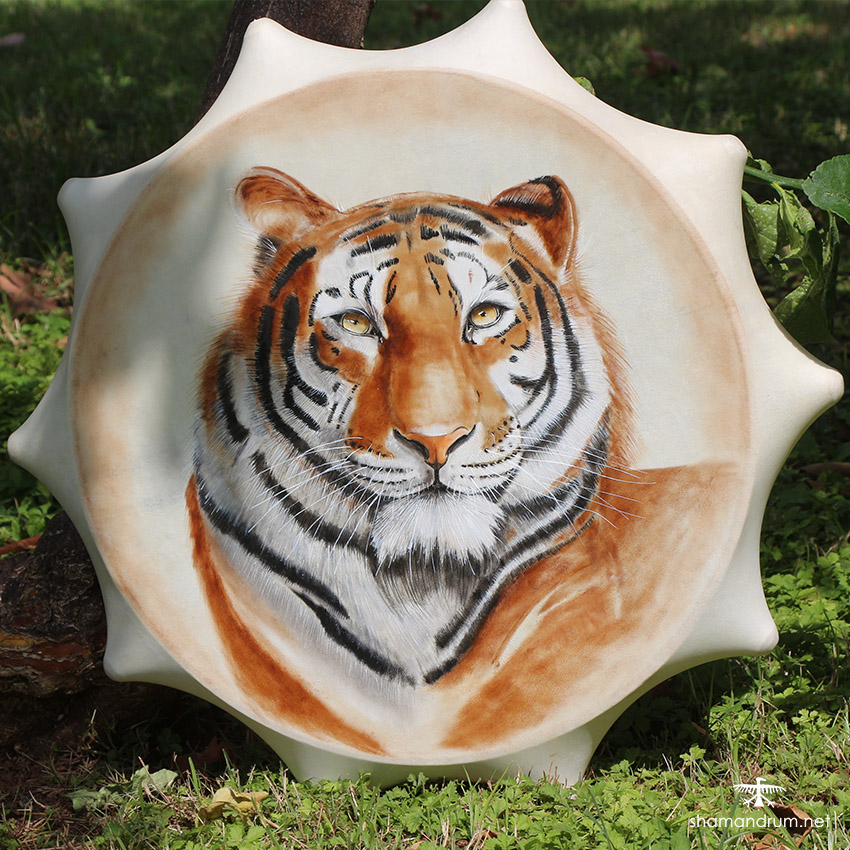 tiger shaman drum 1 kopyala