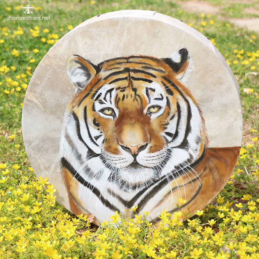 tiger shaman drum 2