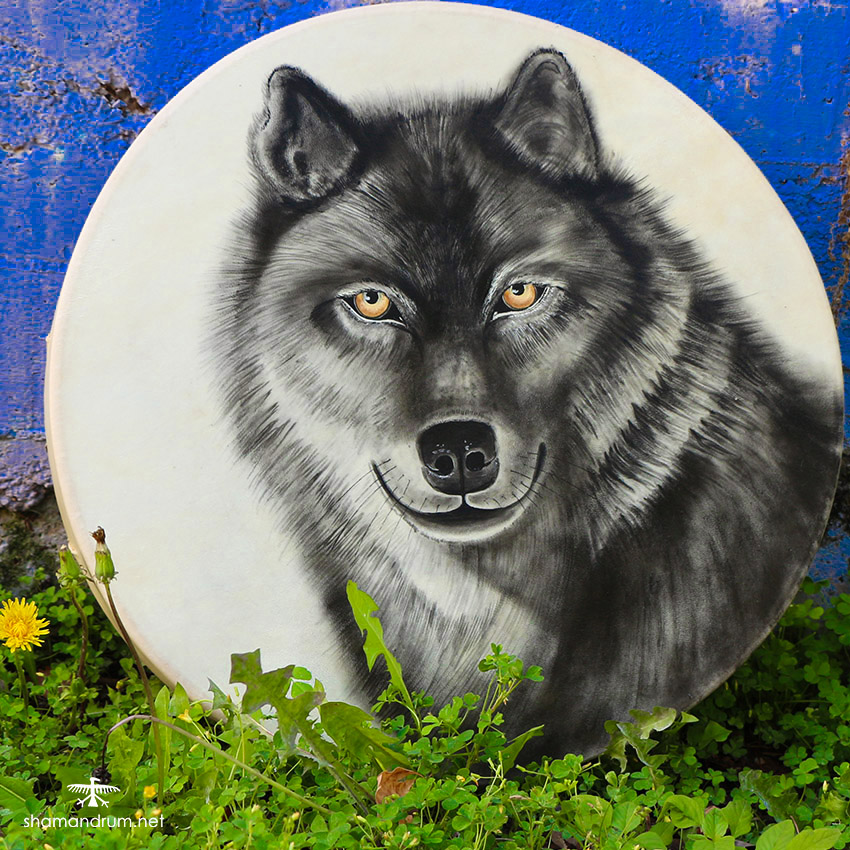 wolf shaman drum 1
