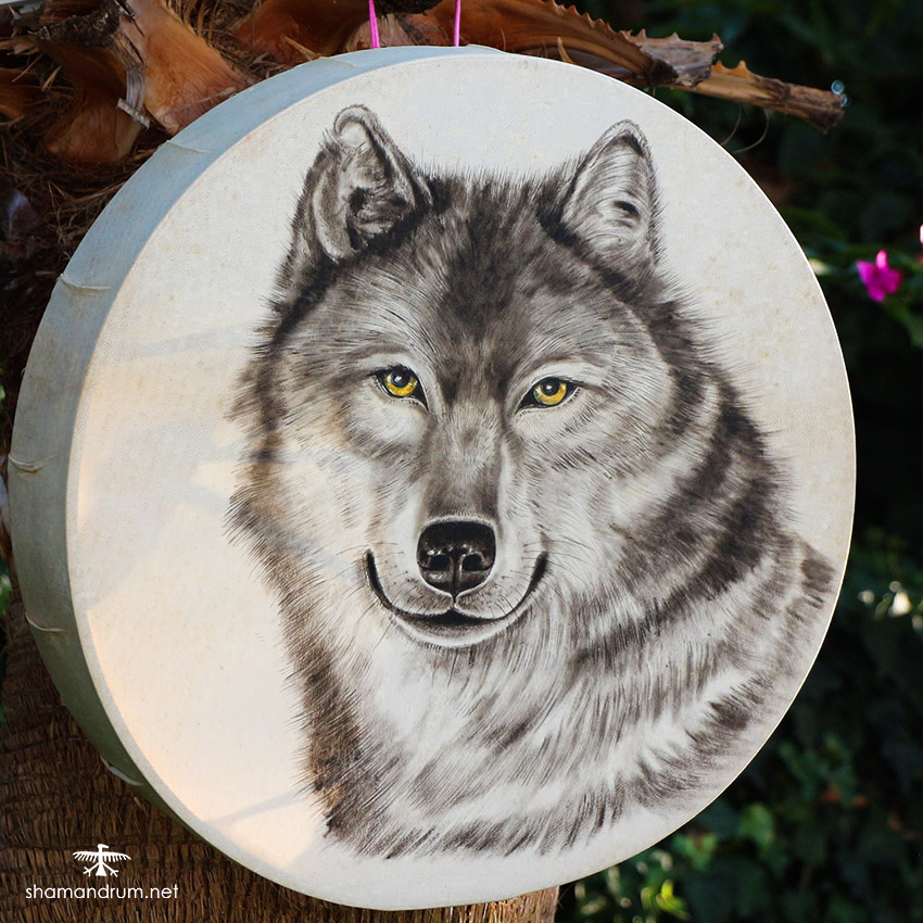 wolf shaman drum 2